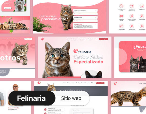 portada-felinaria (1)