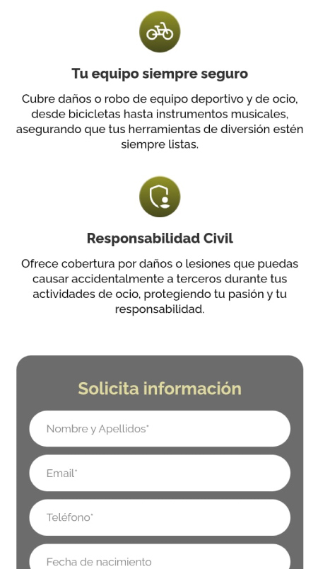 responsive-balsells-pantalla-4
