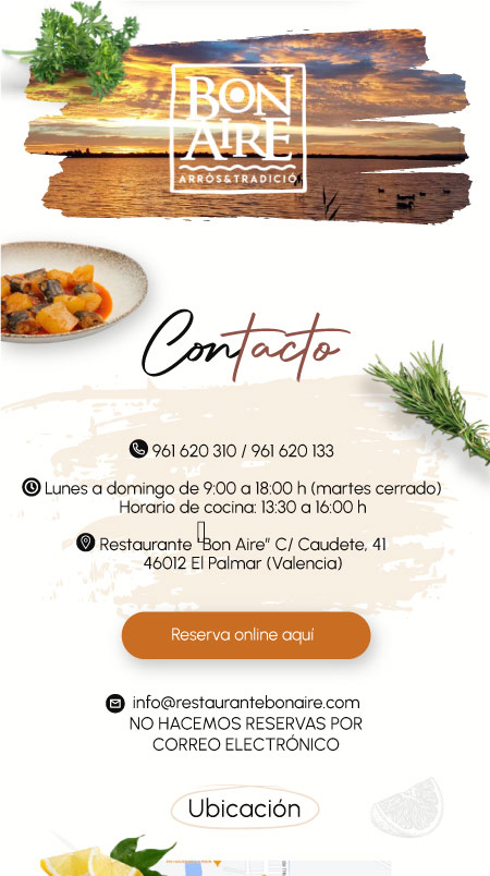 responsive-bonaire-pantalla-1 (1)
