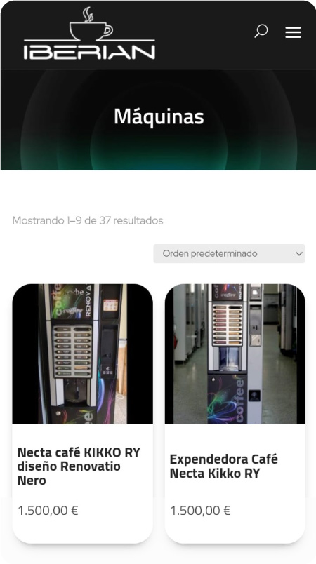 responsive-iberian-pantalla-2 (1)