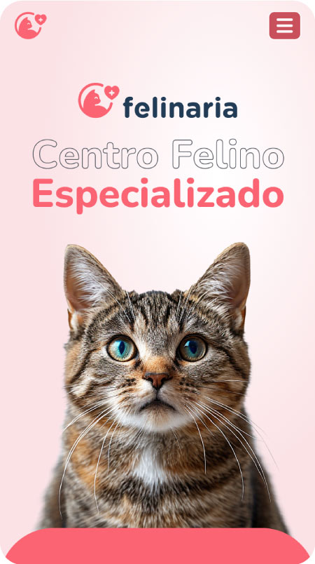 responsive-pantalla-2